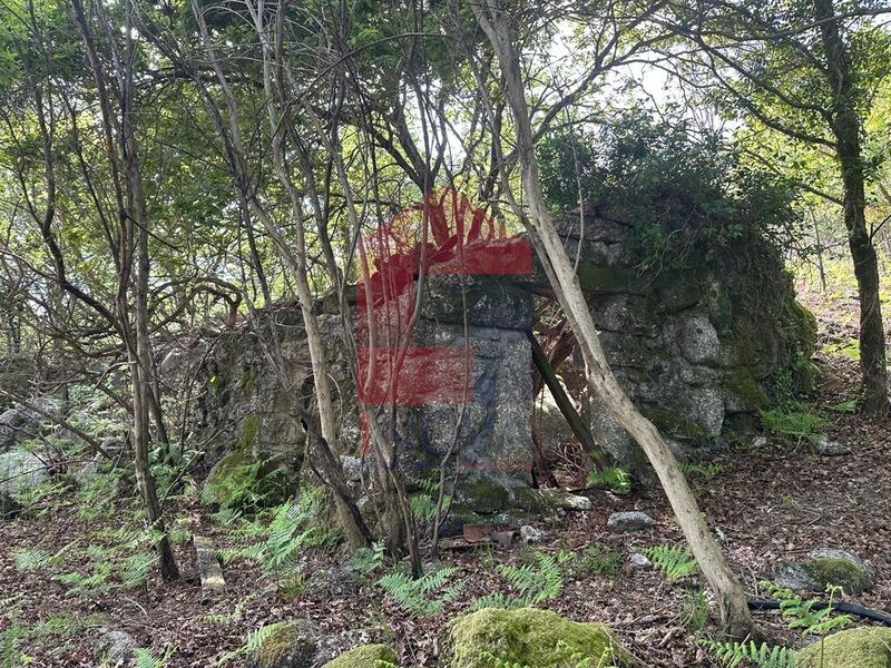 Para venda Terreno com 3500m2 Valdreu Vila Verde - zona sossegada