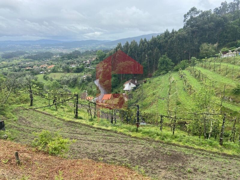 À venda Terreno Agrícola com 2500m2 Barros Vila Verde - água, bons acessos, tanque