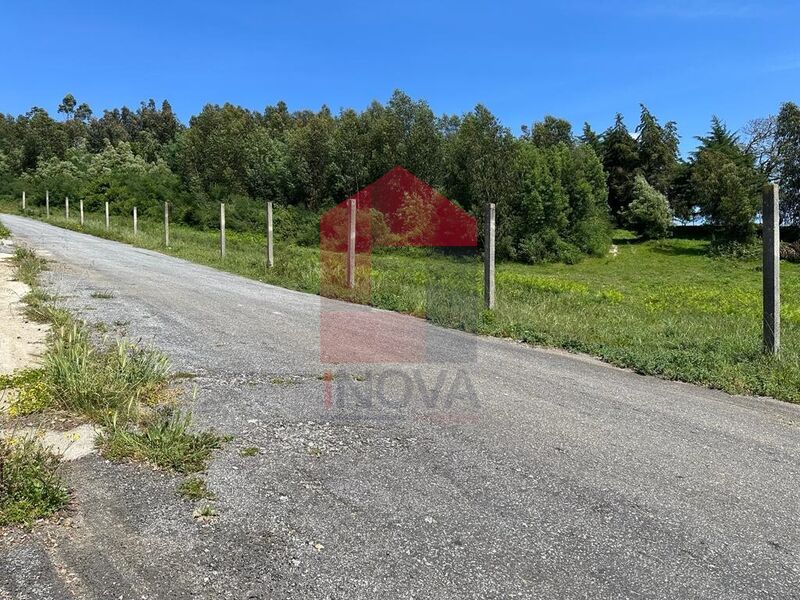 Terreno com 4900m2 à venda Vila Verde - bons acessos