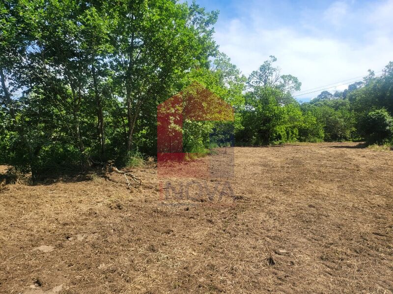 Terreno com 1245m2 Turiz Vila Verde para venda - bons acessos