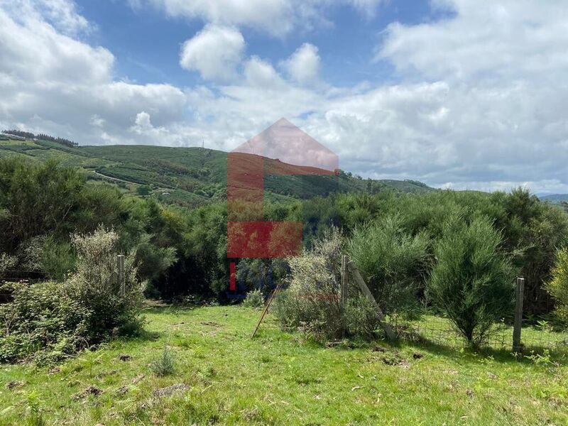 Terreno com 9000m2 Vila Verde para comprar