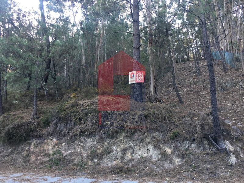 Terreno com 3000m2 Escariz S. Mamede Vila Verde