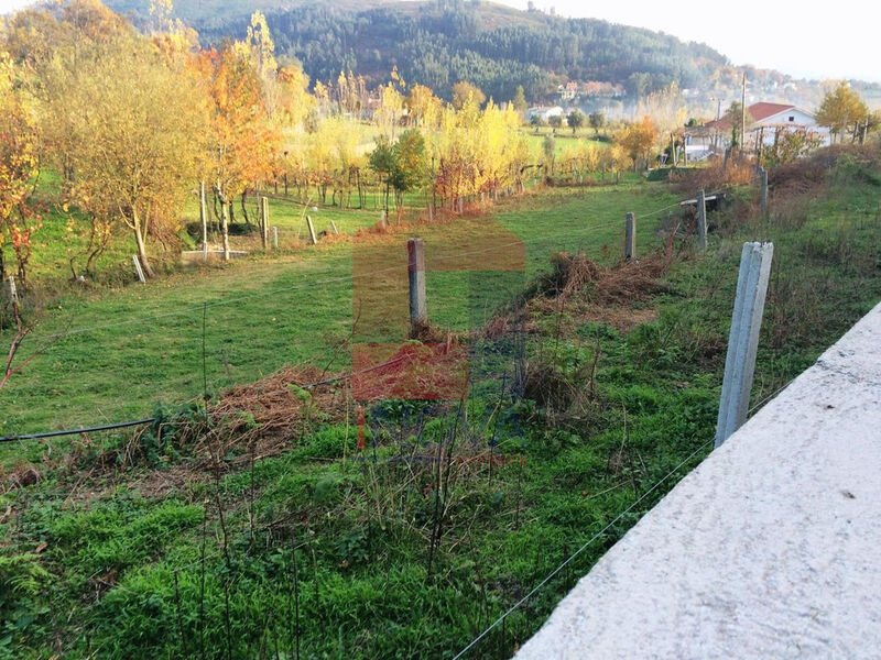 Terreno Agrícola com 3000m2 Santiago Carreiras Vila Verde - água, bons acessos