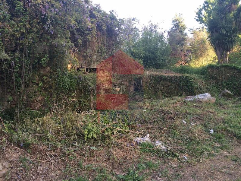 Ruine 1 bedrooms Carreiras S. Miguel Santiago Carreiras Vila Verde