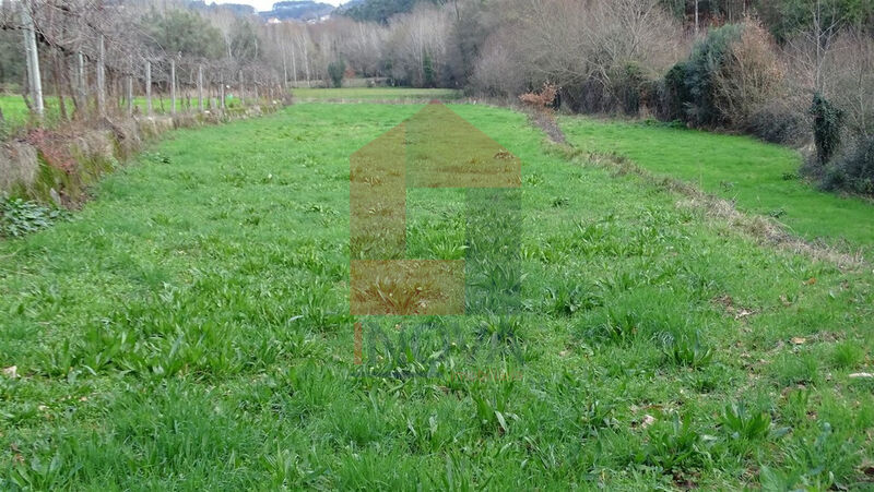 Terreno Agrícola com 1950m2 Godinhaços Vila Verde - bons acessos