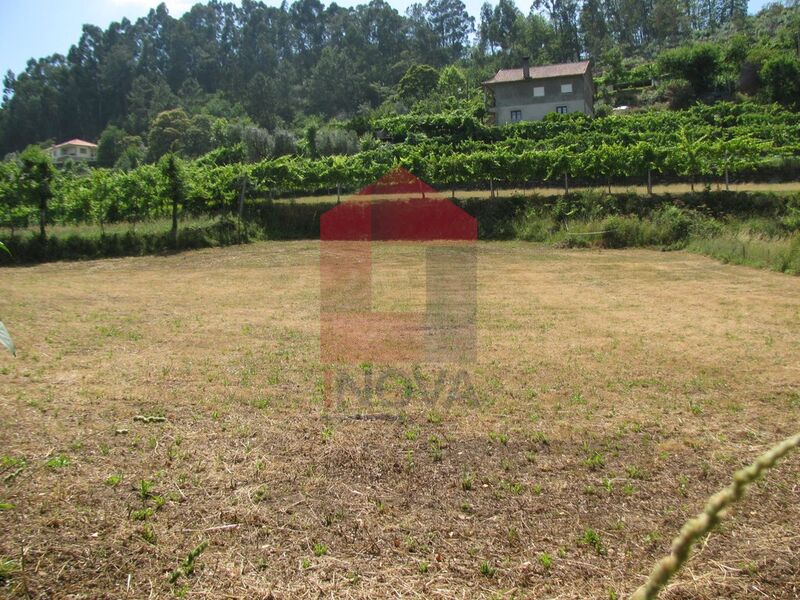 Land Agricultural with 2915sqm Penascais Vila Verde - easy access