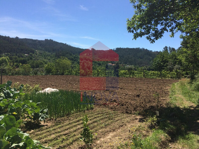 Terreno Agrícola plano Vila Verde - poço, bons acessos, árvores de fruto, água