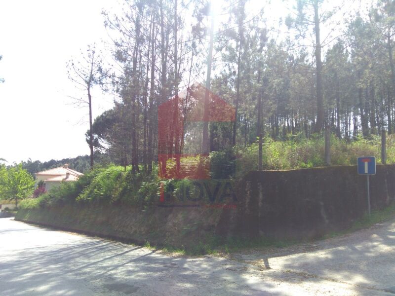 Land flat Barros Vila Verde - easy access