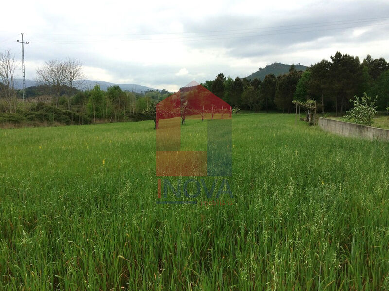 Land Agricultural flat Coucieiro Vila Verde - easy access, water, well