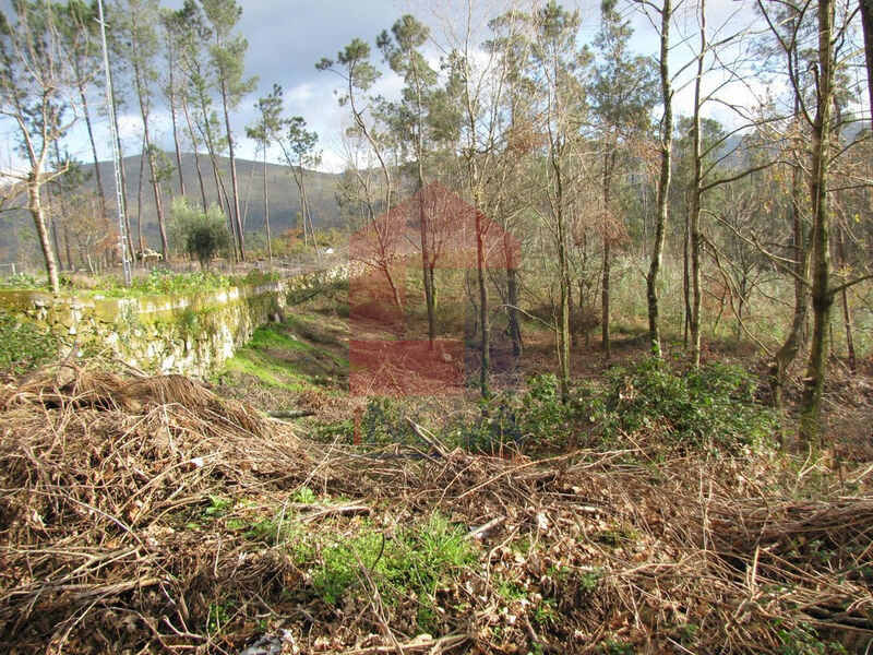 Terreno com 3796m2 Oriz (são Miguel) Vila Verde