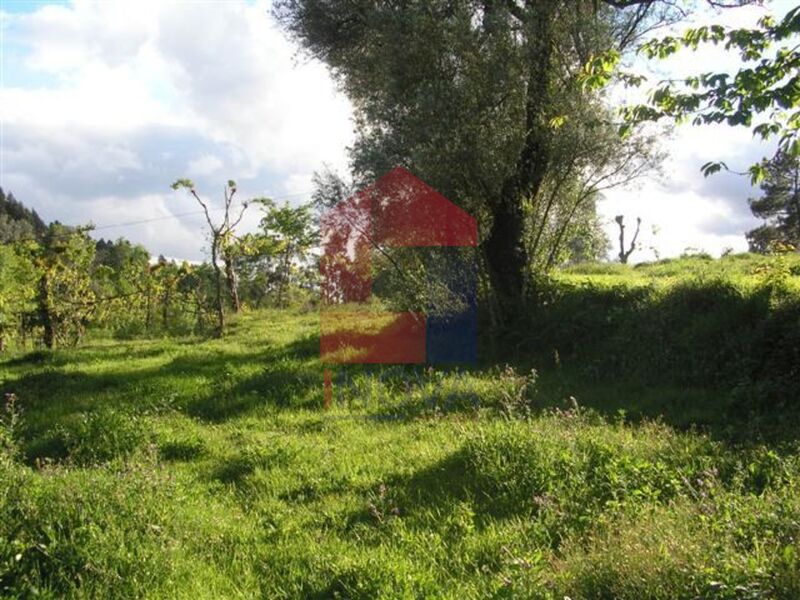 Terreno Agrícola com 2450m2 Barros Vila Verde - bons acessos