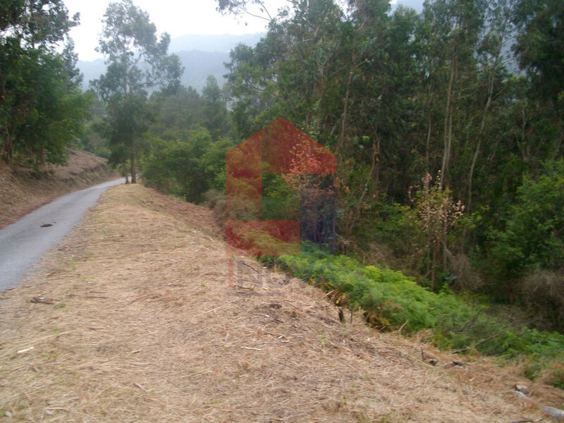 Terreno Agrícola com 10000m2 Aboim da Nóbrega Vila Verde - bons acessos