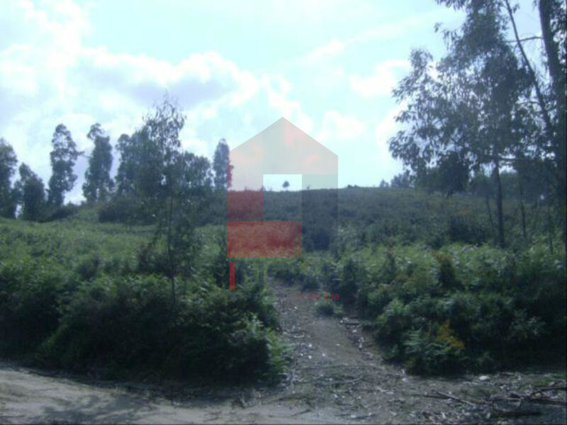 Land with 4875sqm Dossãos Vila Verde - easy access