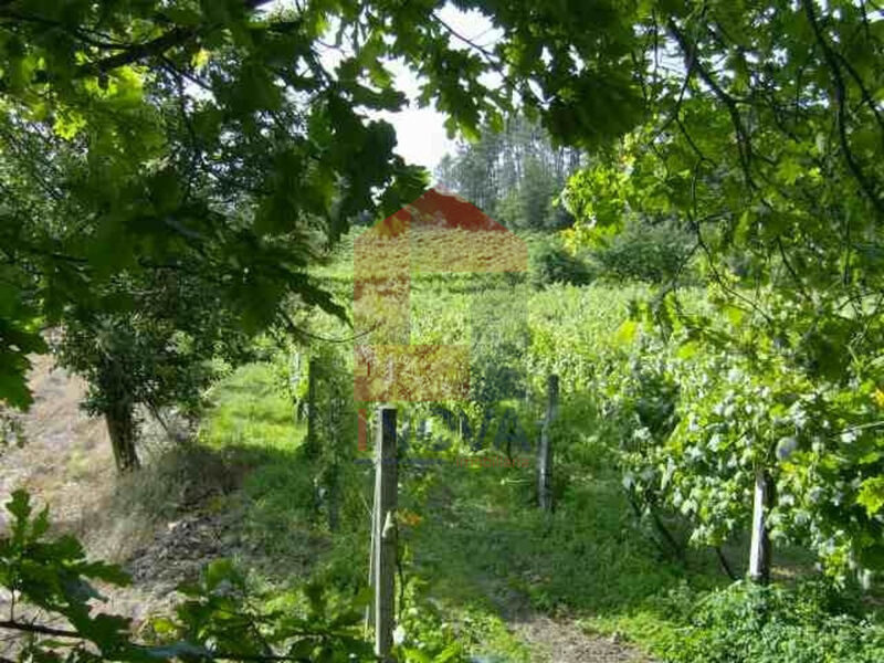 Land with 4500sqm Coucieiro Vila Verde - excellent access, well, water