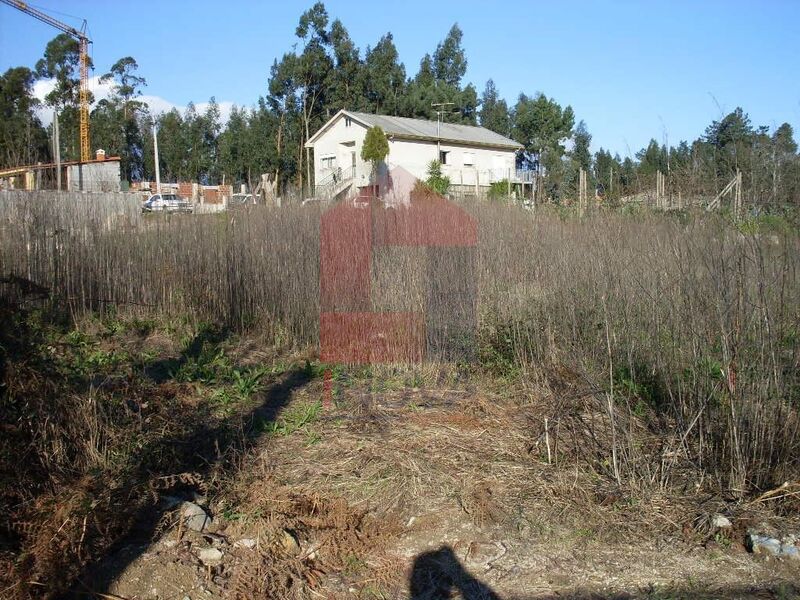 Land with 2500sqm Barbudo Vila Verde