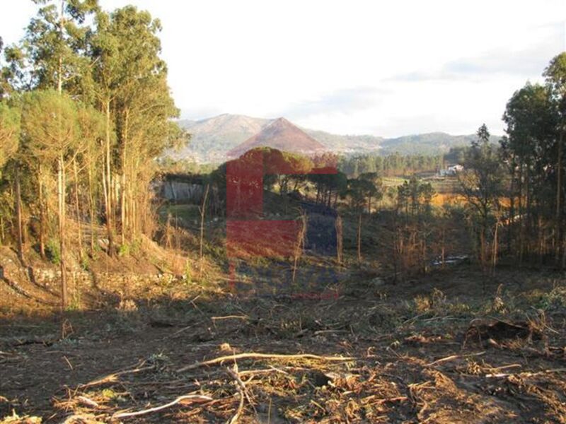 Terreno com 10000m2 Lanhas Vila Verde - bons acessos