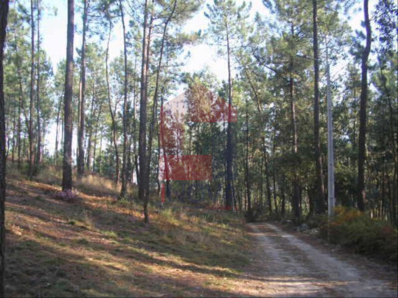 Land with 8745sqm Cervães Vila Verde - easy access