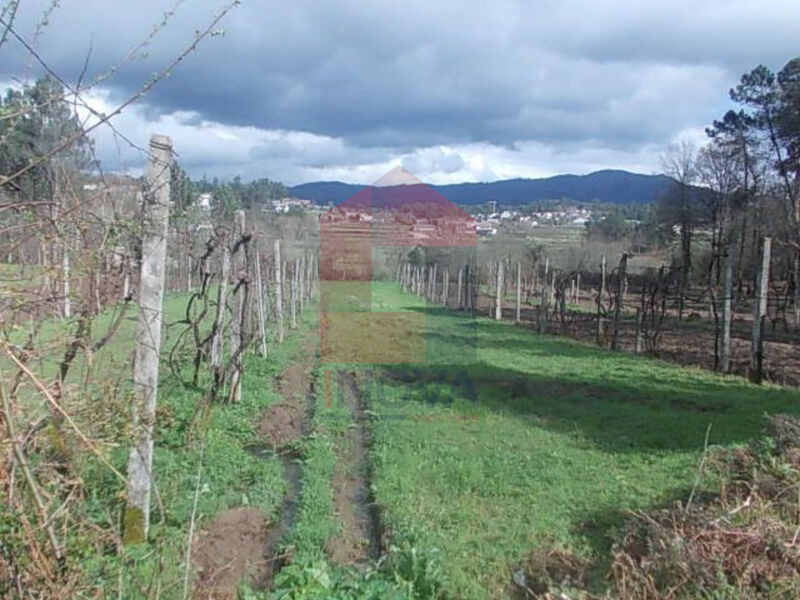 Terreno com 1300m2 Gême Geme Vila Verde - bons acessos