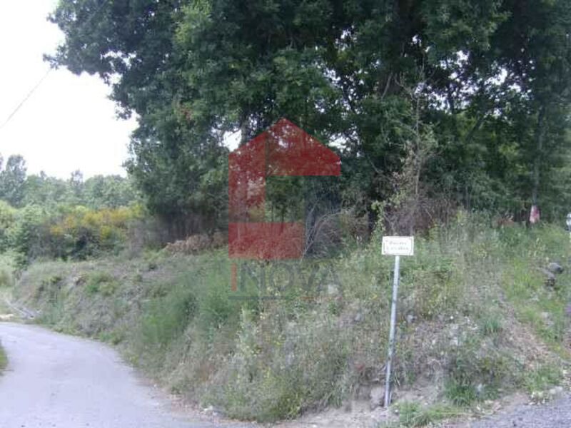 Terreno Agrícola com 60400m2 Coucieiro Vila Verde - bons acessos