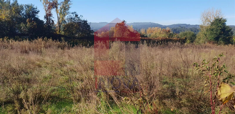 Terreno Agrícola plano Freiriz Vila Verde