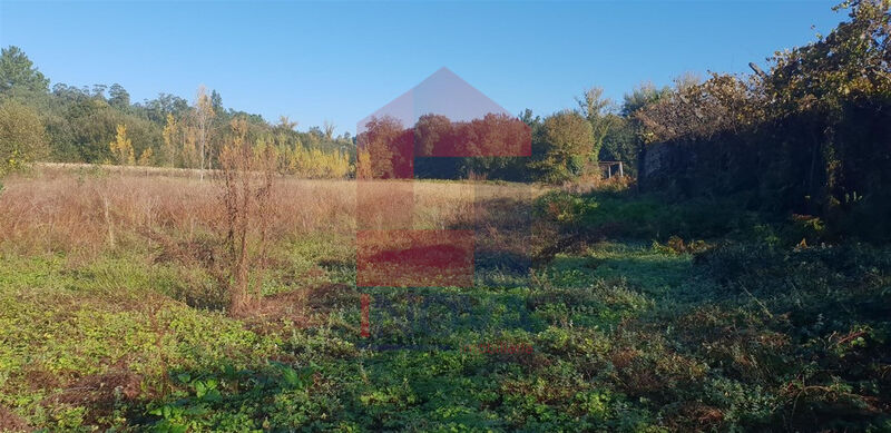 Terreno Agrícola com 2080m2 Vila Verde Freiriz