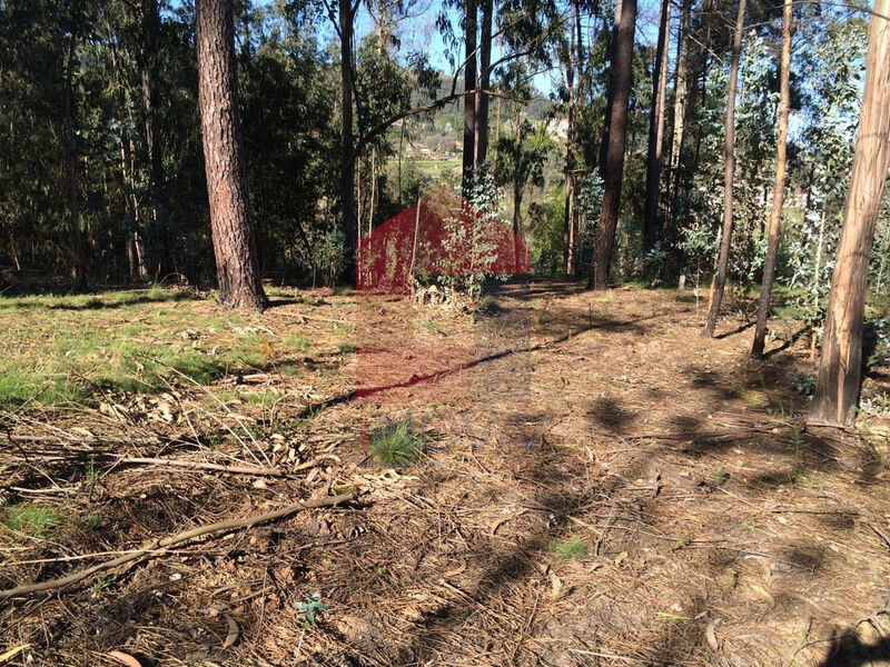 Land with 3000sqm Carreiras São Miguel Vila Verde - easy access
