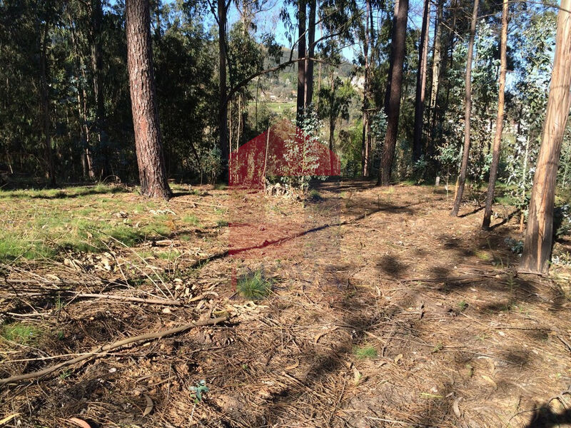 Terreno com 3000m2 Carreiras São Miguel Santiago Carreiras Vila Verde - bons acessos