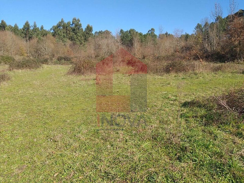 Land Agricultural with 7800sqm Dossãos Vila Verde