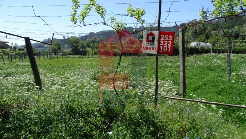 Terreno Agrícola com 1960m2 Pedregais Vila Verde