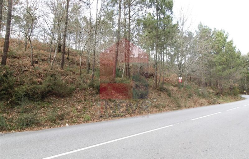 Land Agricultural with 4200sqm Ponte Vila Verde - easy access