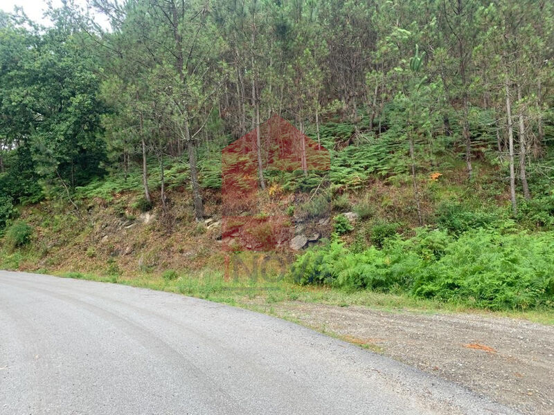 Land Agricultural with 33000sqm Amares Caires - easy access
