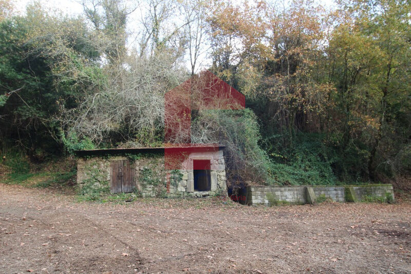 Terreno Agrícola com 4110m2 Vila Verde - tanque, bons acessos