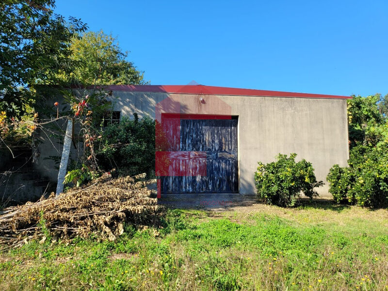 Warehouse with 200sqm Vila Verde Cervães