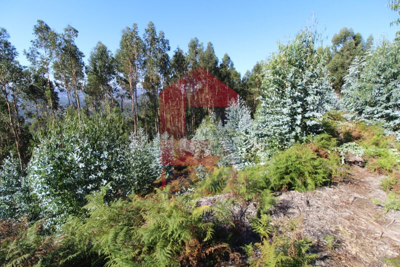 Land with 23000sqm Vila Verde - easy access, water