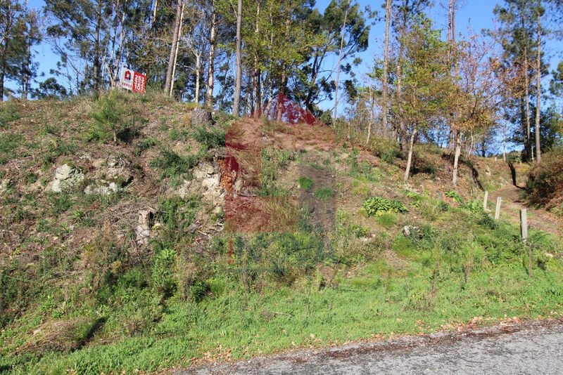 Terreno com 6102m2 Solo Urbanizado, Vila Verde - bons acessos
