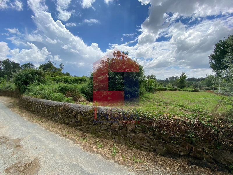 Terreno com ruína Vila Verde Freiriz