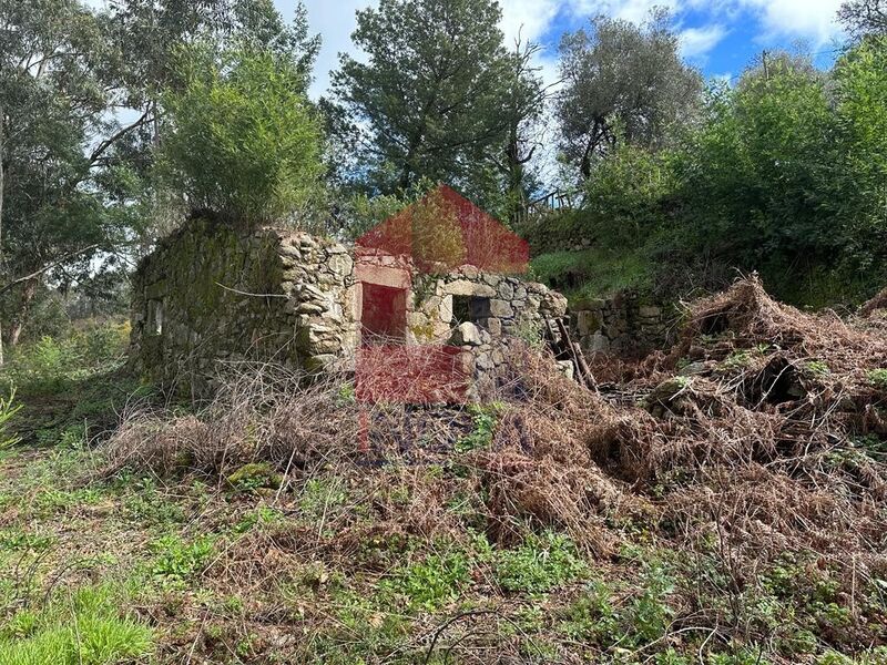 Ruine 0 bedrooms Vila Verde