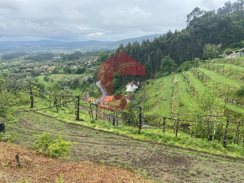 Terreno Agrícola com 2500m2 Barros Vila Verde - água, tanque, bons acessos