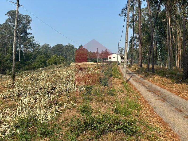 Land with 2099sqm Solo Urbanizado,freiriz Vila Verde - easy access