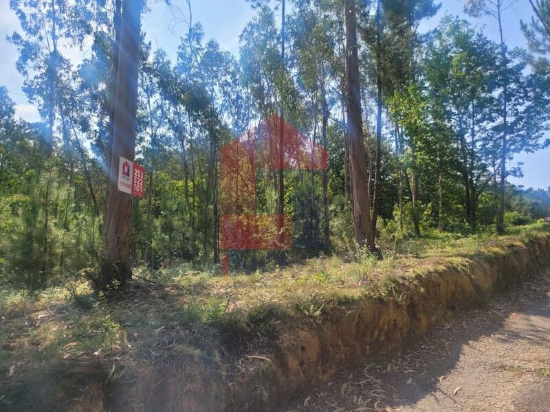 Land with 2099sqm Freiriz Vila Verde - easy access