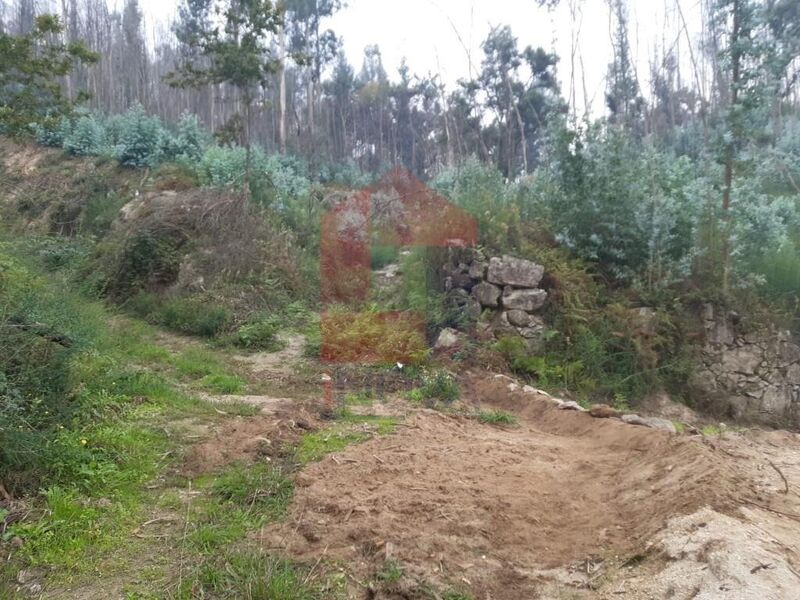 Land with 7300sqm Esqueiros Vila Verde