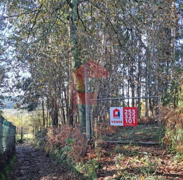 Terreno Agrícola plano Gondiães Vila Verde - bons acessos