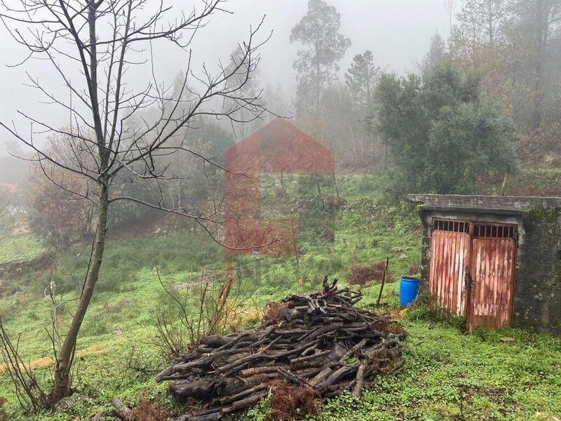 Terreno Agrícola com 4800m2 Barros Vila Verde - bons acessos