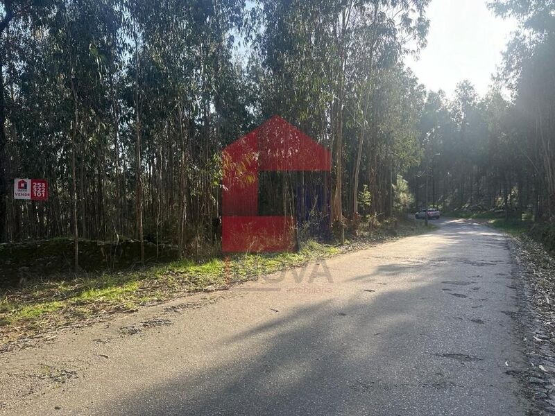 Terreno Agrícola com 16205m2 Portela das Cabras Vila Verde - bons acessos