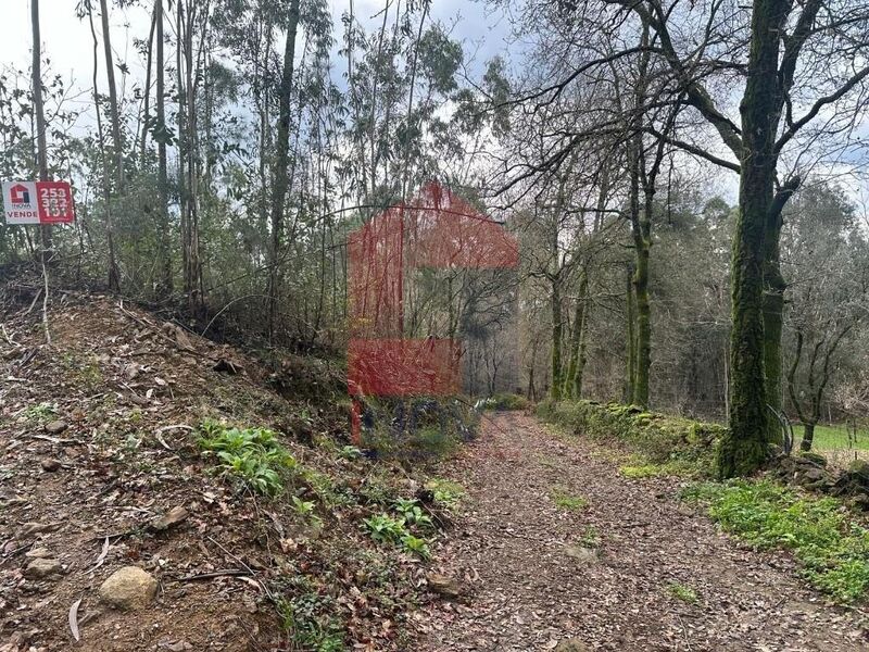 Terreno com 4840m2 Portela das Cabras Vila Verde - bons acessos