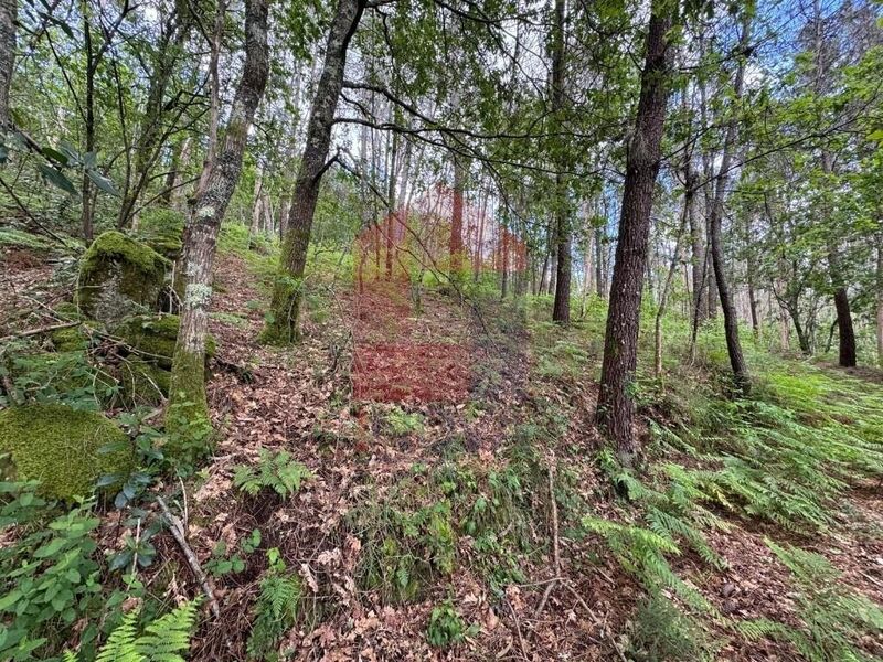 Land with 874sqm Sande Vila Verde