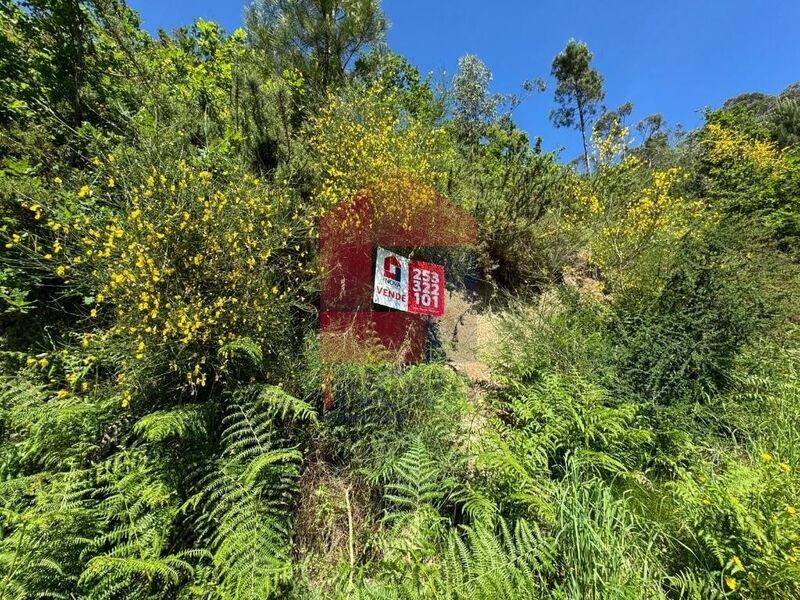 Land with 2010sqm Sande Vila Verde - easy access