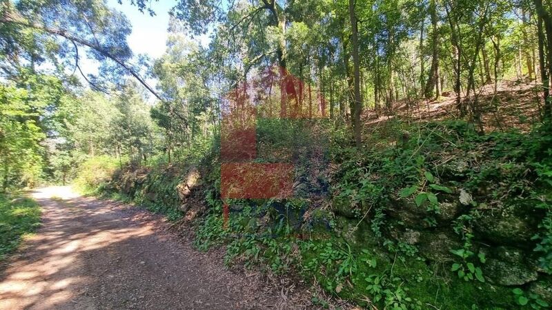 Land with 44200sqm Balança Terras de Bouro - easy access