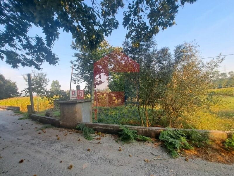 Land Agricultural with 1498sqm Escariz São Mamede Vila Verde