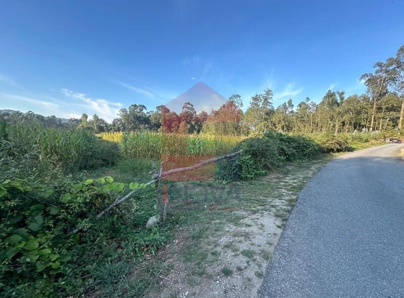 Terreno Agrícola plano Turiz Vila Verde - bons acessos, poço, água